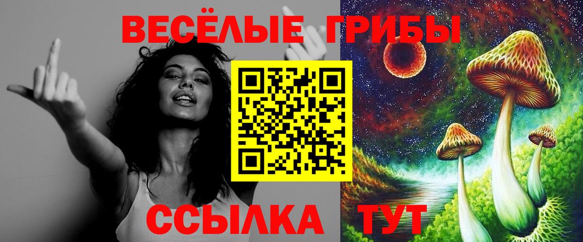Галлюциногенные грибы мухоморы  как найти закладки  Вход с VPN  Славянск-на-Кубани  Псилоцибиновые грибы GOLDEN TEACHER 